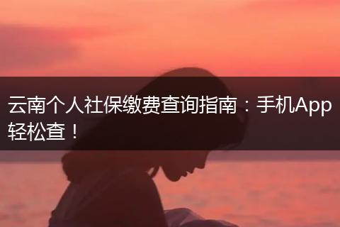 云南个人社保缴费查询指南：手机App轻松查！