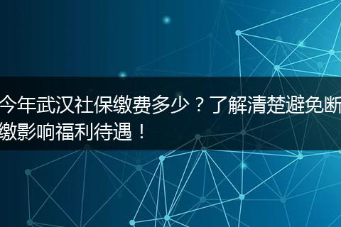 今年武汉社保缴费多少？了解清楚避免断缴影响福利待遇！