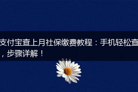 支付宝查上月社保缴费教程:手机轻松查,步骤详解!