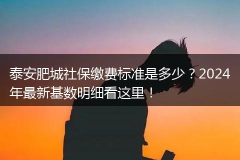 泰安肥城社保缴费标准是多少？2024年最新基数明细看这里！