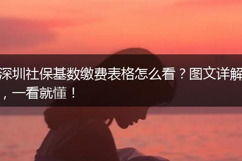 深圳社保基数缴费表格怎么看？图文详解，一看就懂！