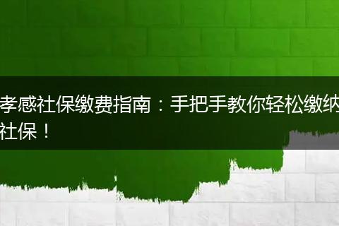 孝感社保缴费指南：手把手教你轻松缴纳社保！