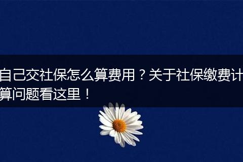 自己交社保怎么算费用？关于社保缴费计算问题看这里！