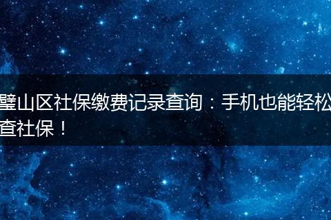 璧山区社保缴费记录查询：手机也能轻松查社保！