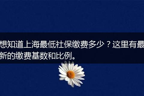 想知道上海最低社保缴费多少？这里有最新的缴费基数和比例。