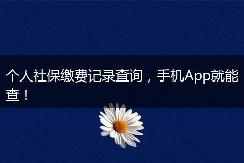 个人社保缴费记录查询,手机App就能查!