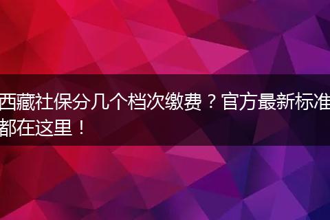 西藏社保分几个档次缴费?官方最新标准都在这里!