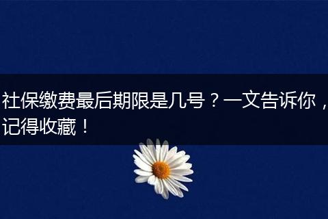 社保缴费最后期限是几号？一文告诉你，记得收藏！