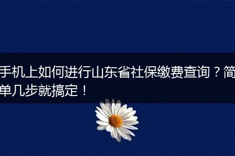 手机上如何进行山东省社保缴费查询?简单几步就搞定!