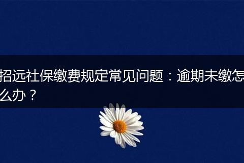 招远社保缴费规定常见问题:逾期未缴怎么办?