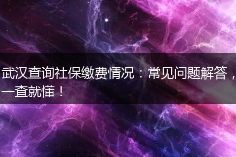 武汉查询社保缴费情况:常见问题解答,一查就懂!