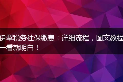 伊犁税务社保缴费：详细流程，图文教程一看就明白！