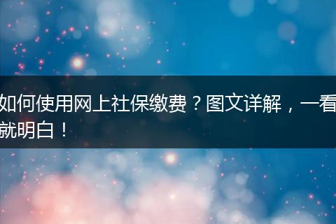如何使用网上社保缴费?图文详解,一看就明白!