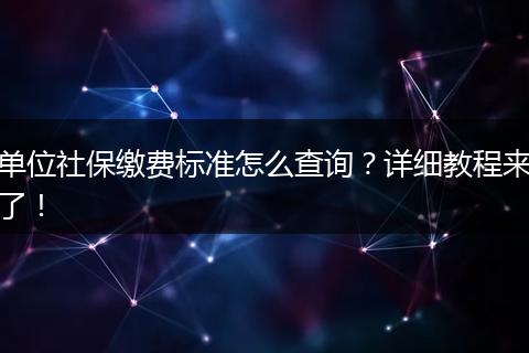 单位社保缴费标准怎么查询？详细教程来了！