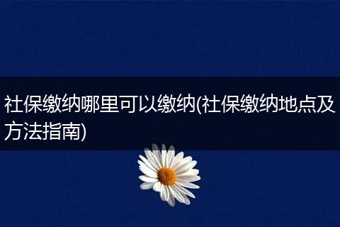 社保缴纳哪里可以缴纳(社保缴纳地点及方法指南)