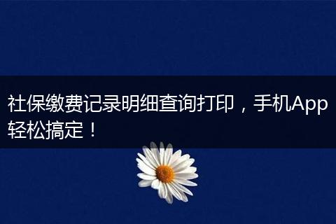 社保缴费记录明细查询打印，手机App轻松搞定！