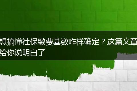 想搞懂社保缴费基数咋样确定?这篇文章给你说明白了