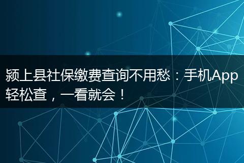 颍上县社保缴费查询不用愁:手机App轻松查,一看就会!