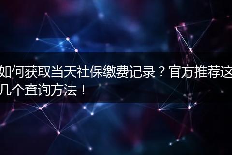 如何获取当天社保缴费记录?官方推荐这几个查询方法!