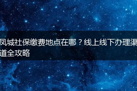 凤城社保缴费地点在哪?线上线下办理渠道全攻略