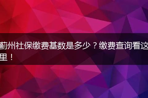 蓟州社保缴费基数是多少？缴费查询看这里！