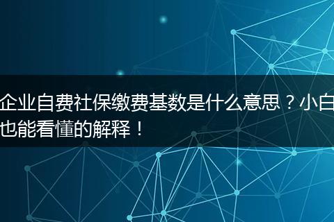 企业自费社保缴费基数是什么意思？小白也能看懂的解释！