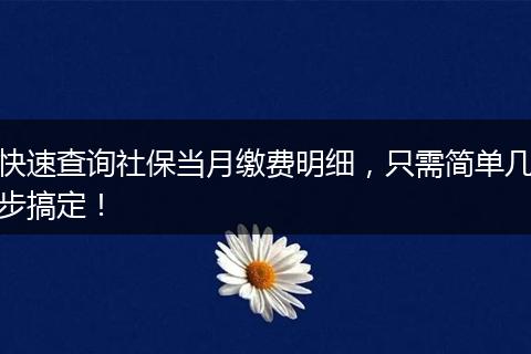快速查询社保当月缴费明细，只需简单几步搞定！