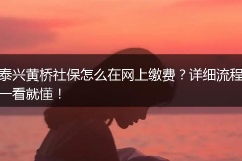 泰兴黄桥社保怎么在网上缴费？详细流程一看就懂！