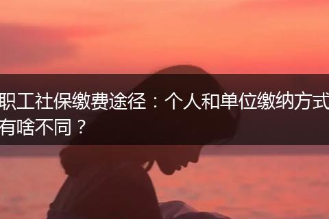 职工社保缴费途径:个人和单位缴纳方式有啥不同?