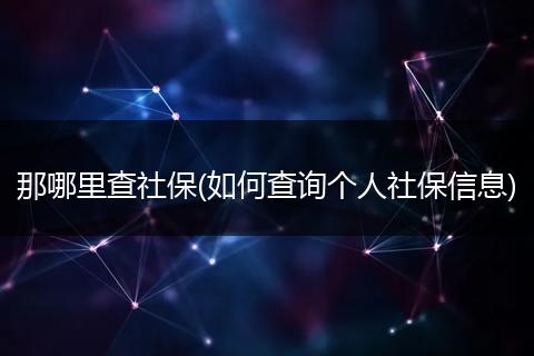 那哪里查社保(如何查询个人社保信息)