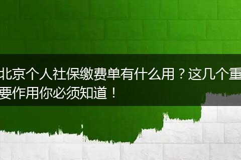 北京个人社保缴费单有什么用？这几个重要作用你必须知道！