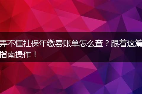 弄不懂社保年缴费账单怎么查？跟着这篇指南操作！