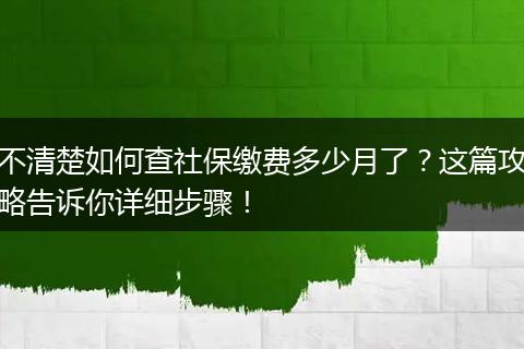 不清楚如何查社保缴费多少月了？这篇攻略告诉你详细步骤！