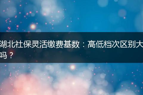 湖北社保灵活缴费基数：高低档次区别大吗？