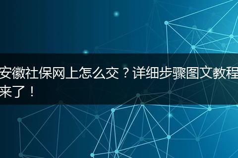 安徽社保网上怎么交？详细步骤图文教程来了！