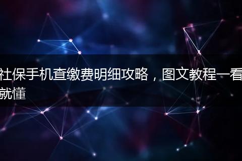 社保手机查缴费明细攻略，图文教程一看就懂