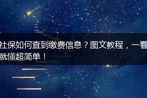 社保如何查到缴费信息？图文教程，一看就懂超简单！