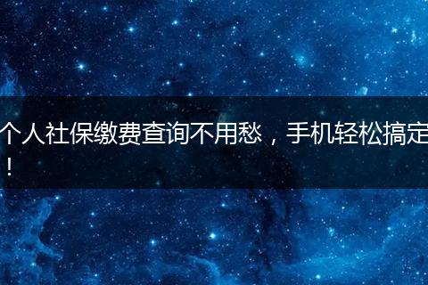 个人社保缴费查询不用愁，手机轻松搞定！