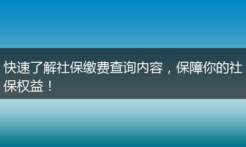 快速了解社保缴费查询内容,保障你的社保权益!