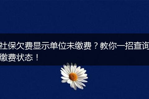 社保欠费显示单位未缴费？教你一招查询缴费状态！