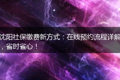 沈阳社保缴费新方式：在线预约流程详解，省时省心！