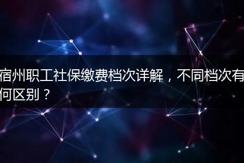宿州职工社保缴费档次详解，不同档次有何区别？