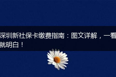 深圳新社保卡缴费指南：图文详解，一看就明白！
