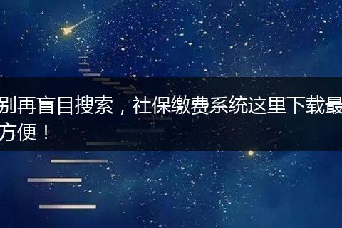 别再盲目搜索,社保缴费系统这里下载最方便!