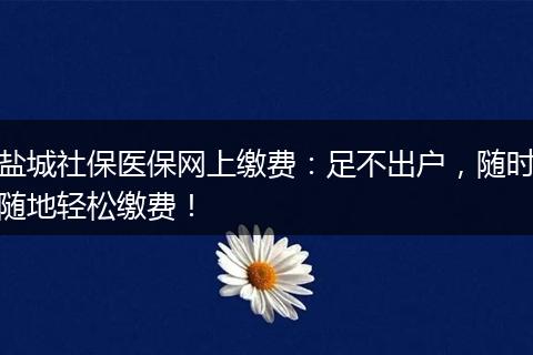 盐城社保医保网上缴费：足不出户，随时随地轻松缴费！