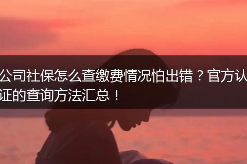 公司社保怎么查缴费情况怕出错？官方认证的查询方法汇总！