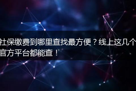 社保缴费到哪里查找最方便？线上这几个官方平台都能查！