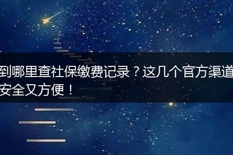 到哪里查社保缴费记录？这几个官方渠道安全又方便！