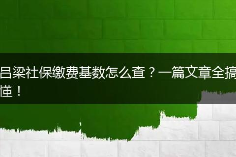 吕梁社保缴费基数怎么查？一篇文章全搞懂！