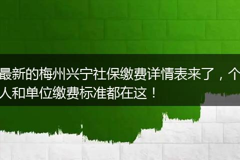 最新的梅州兴宁社保缴费详情表来了，个人和单位缴费标准都在这！